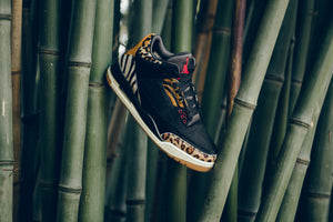 Air Jordan 3 Retro 'Animal Instinct'