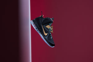 Nike LeBron IX 'Watch The Throne'