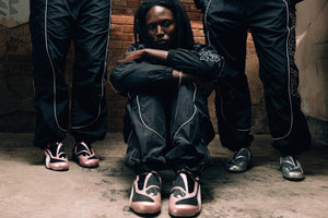 POLITICS FOR PUMA V-S1