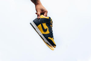 Nike Dunk Hi SP 'Michigan'
