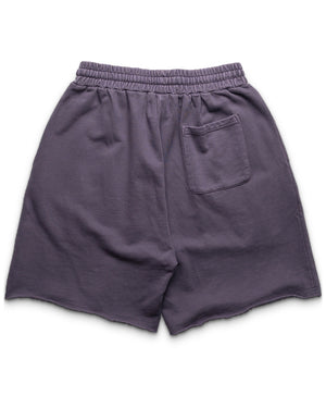 Politics Busy Being Nice Fleece Shorts - Washed Plum - back